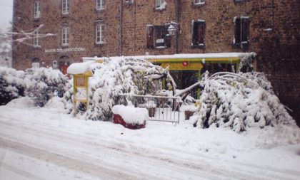 le murier sous la neige du Pilat le 20 novembre 2013